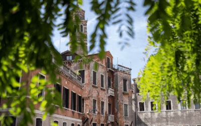 Visite guidate giugno 2020